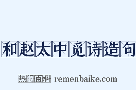 和赵太中觅诗造句是什么意思的图片